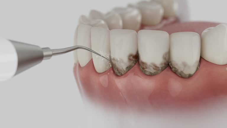Reliable Dental contractor in Rio Bravo, TX by Dentist Open Now